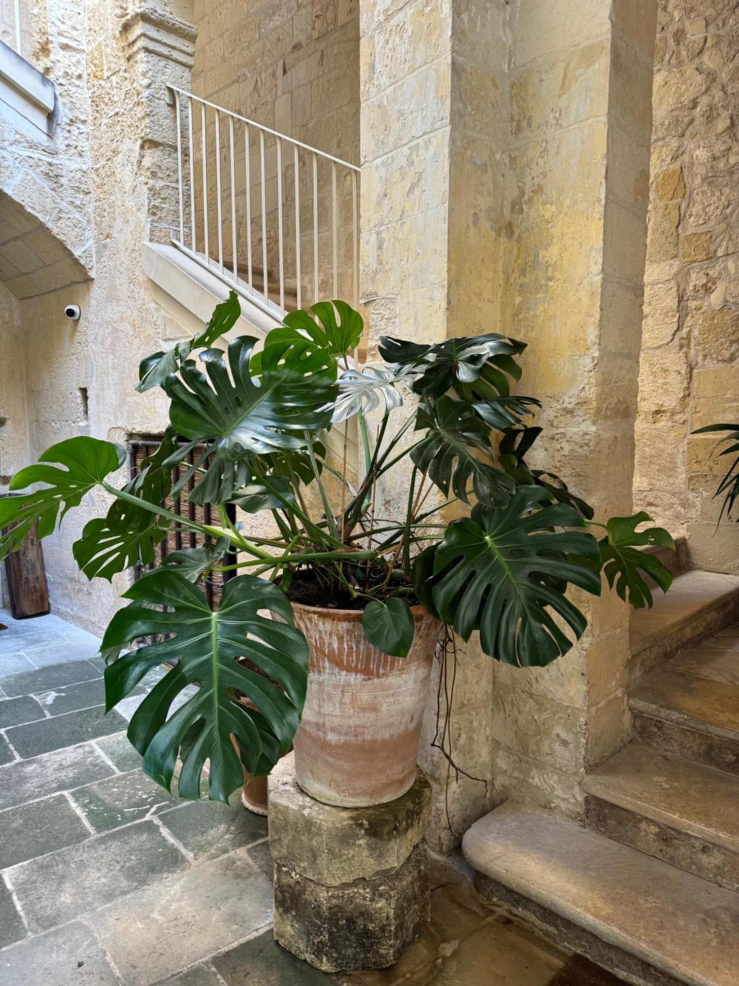Luleccio Aparthotel Λέτσε Εξωτερικό φωτογραφία